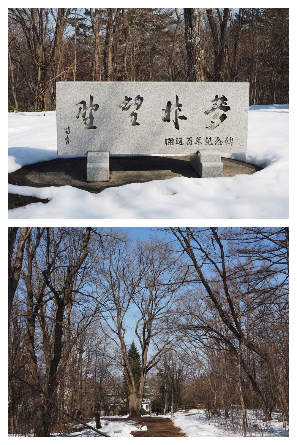 260320_Midorigaoka_3