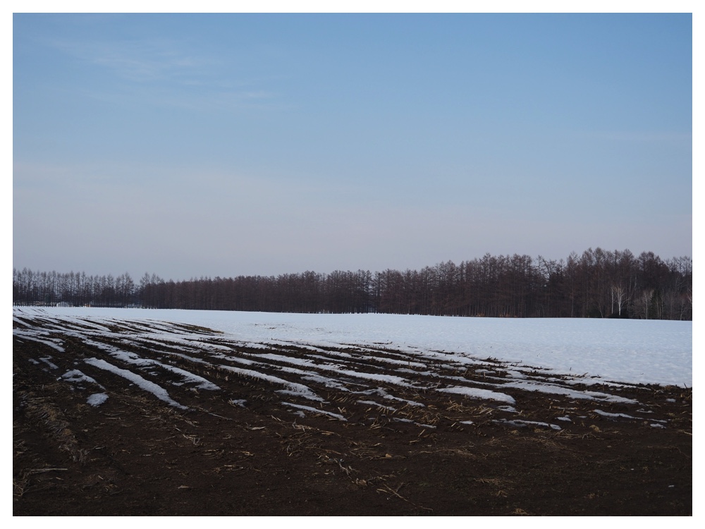 260320_Midorigaoka_9