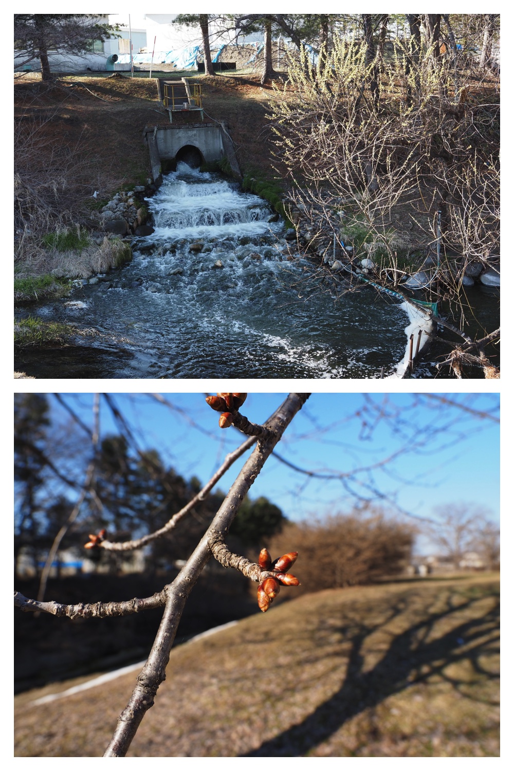 260325_Hasshounochi_10