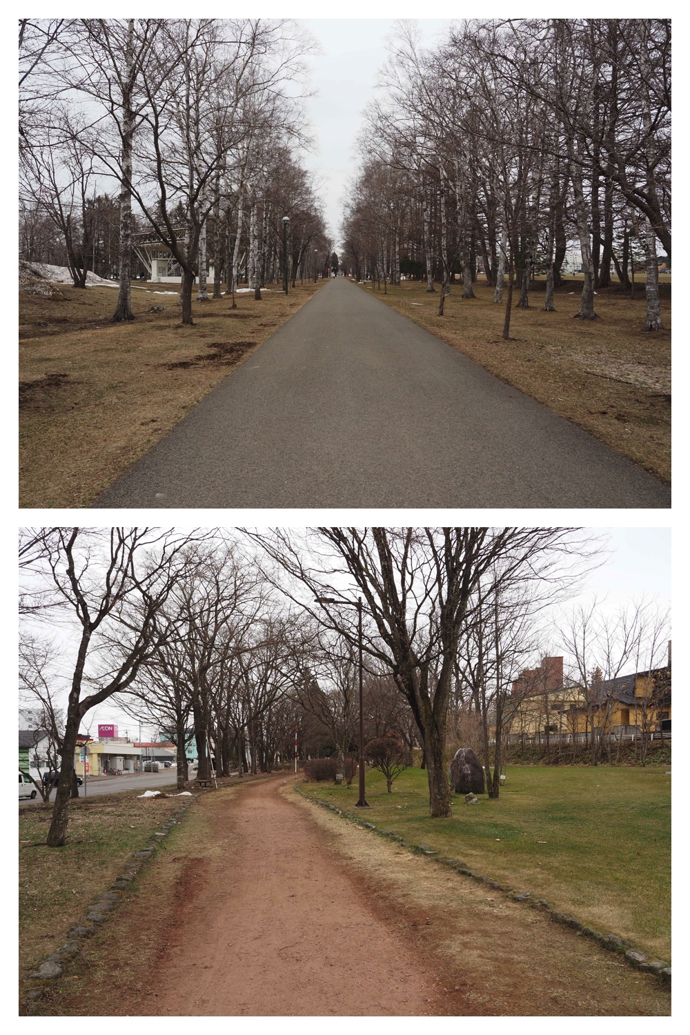 260327_Midorigaoka_10