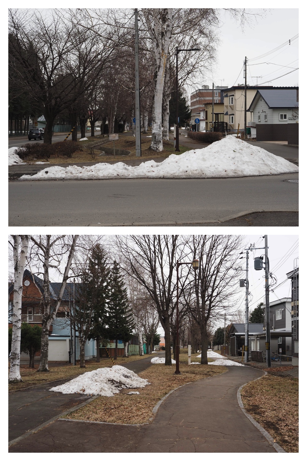 260327_Midorigaoka_11