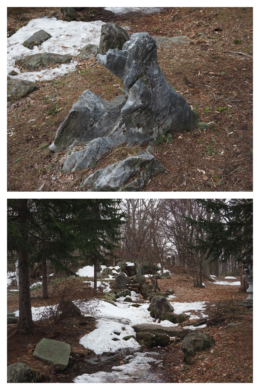 260327_Midorigaoka_5