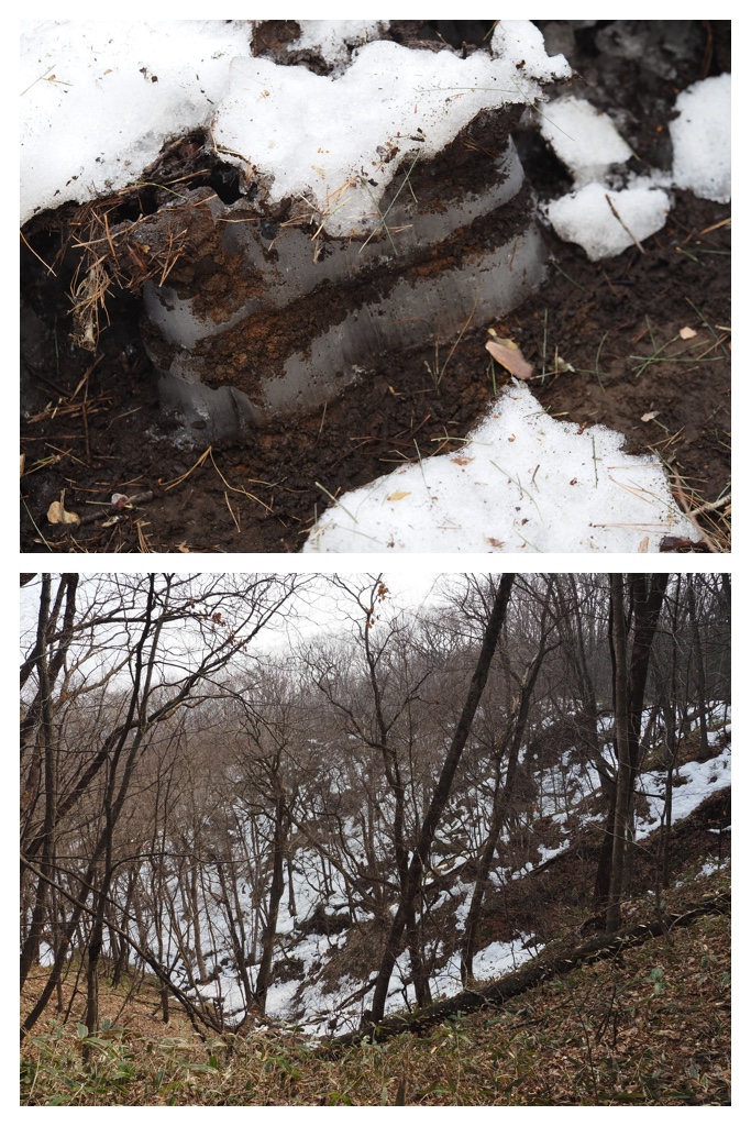 260329_Kunimiyama_7-2