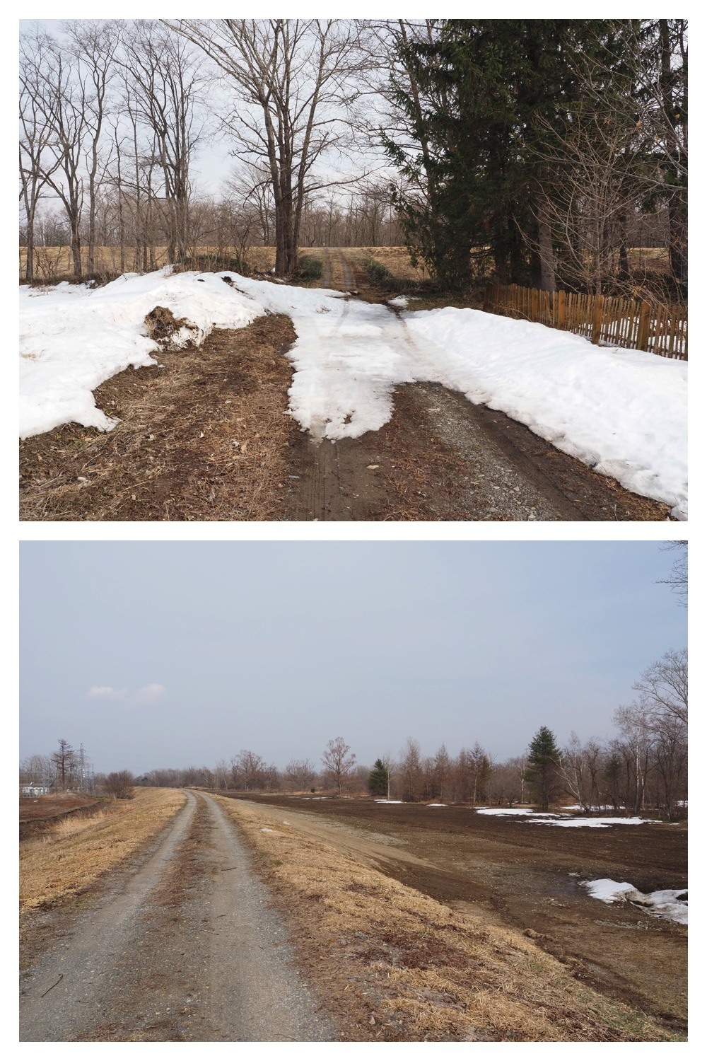 260330_Aoyagihashi_1