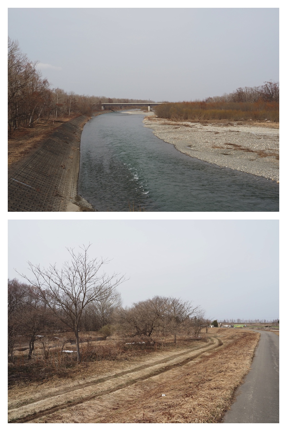 260330_Aoyagihashi_3