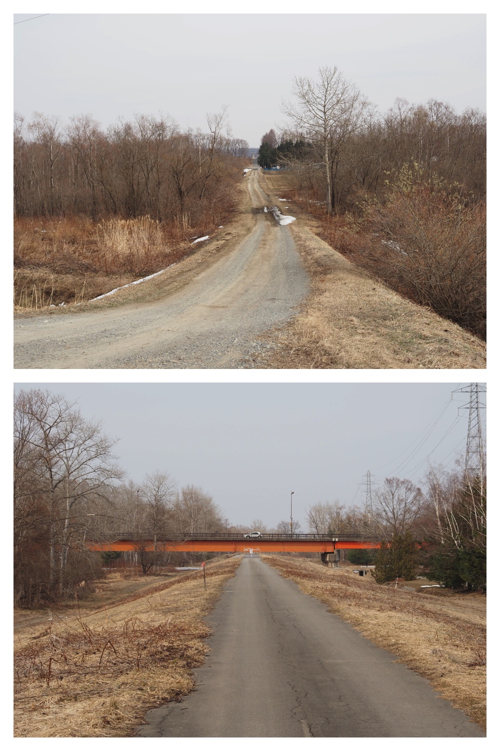 260330_Aoyagihashi_5