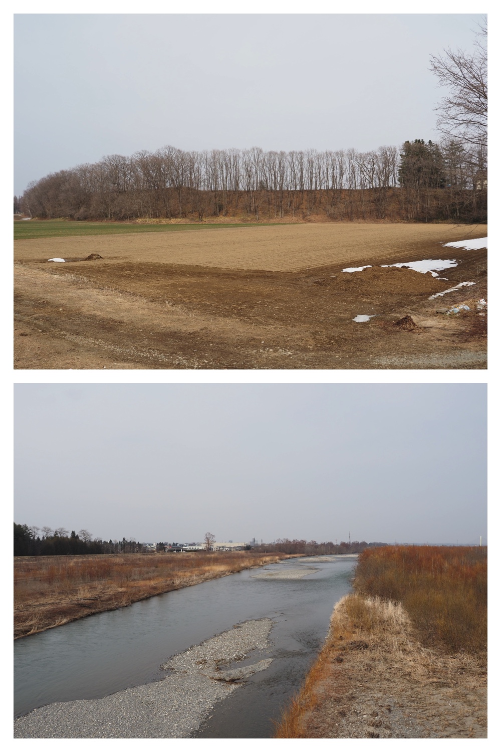 260330_Aoyagihashi_8