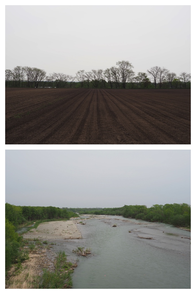 260508_Nakasatsunai_3