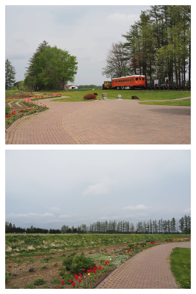 260508_Nakasatsunai_7
