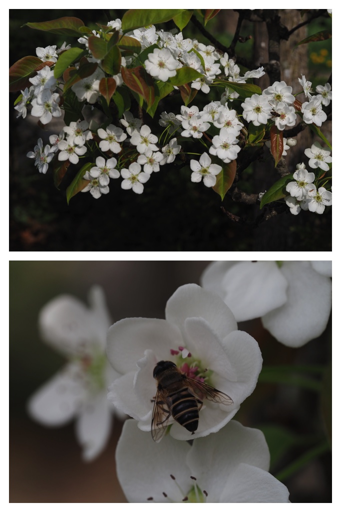 260511_Tokachi-hills_18