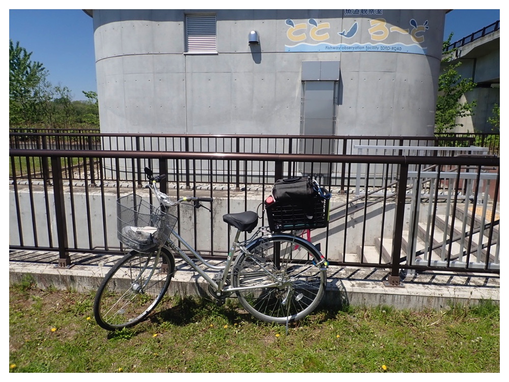 260514_Bicycle