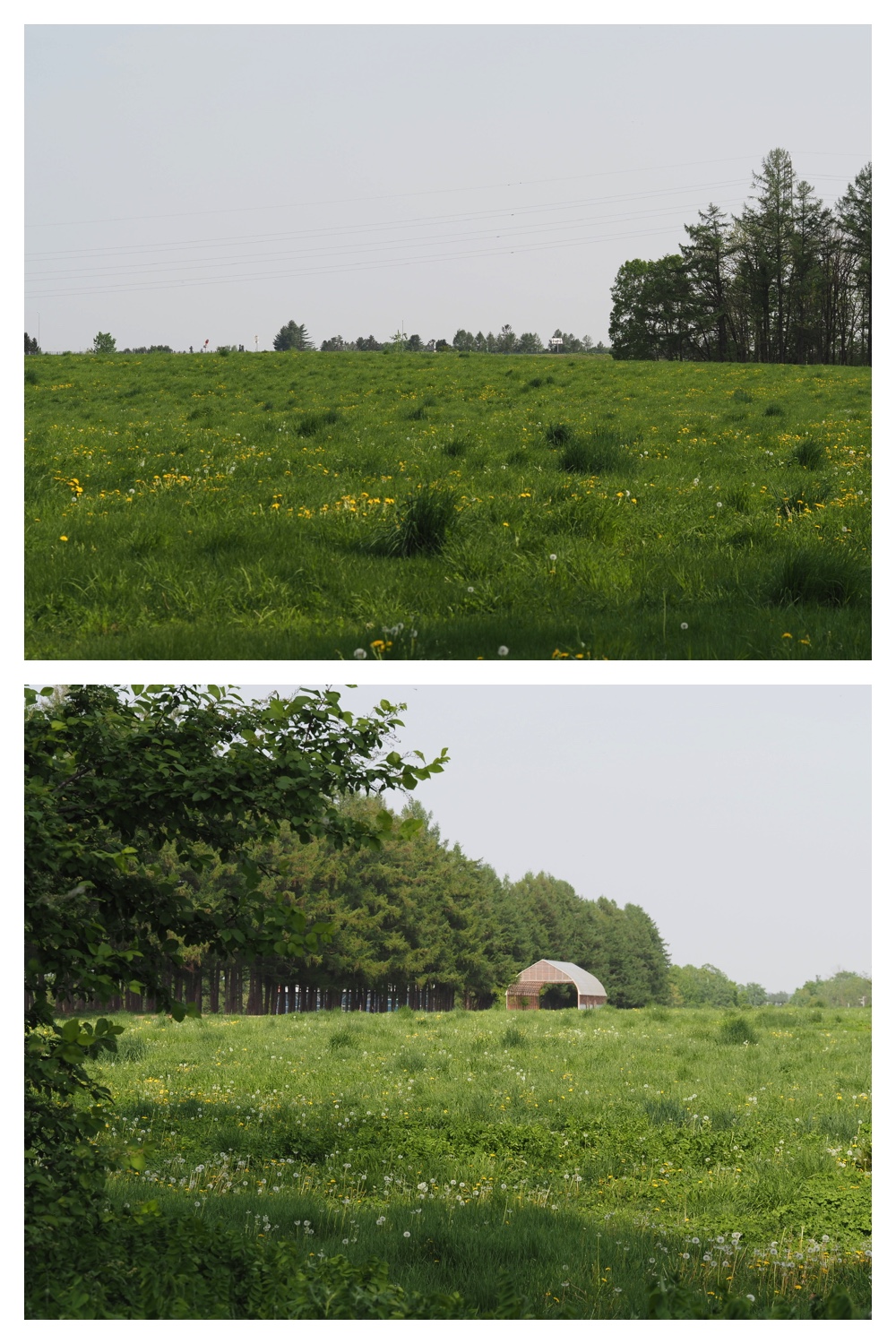260516_Urikaigawa_10