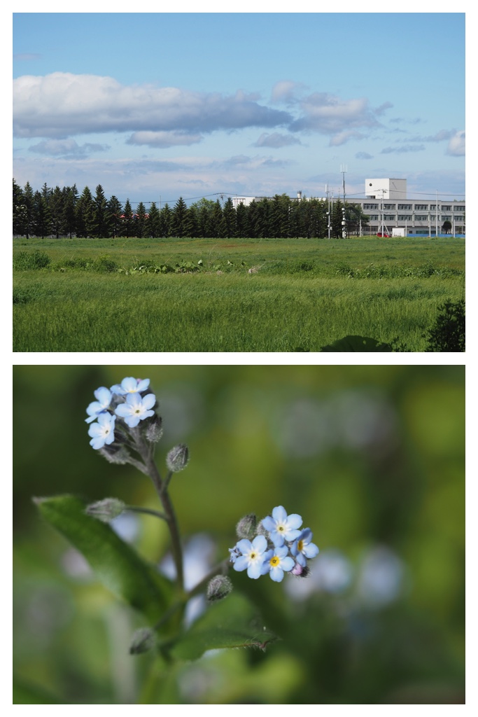 260529_Noukoumori_10
