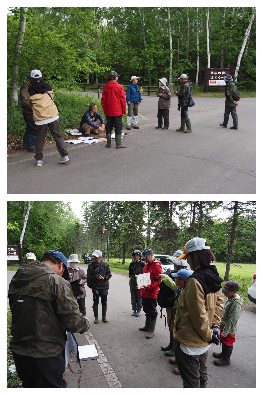 260531_Ezorisu-census_1