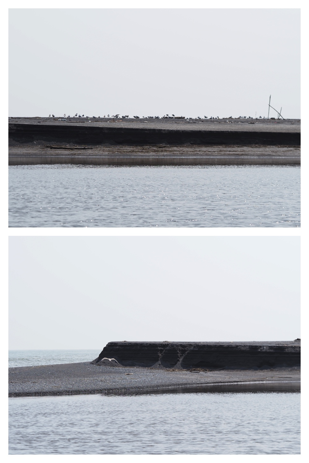 260905_Shizenshi_23