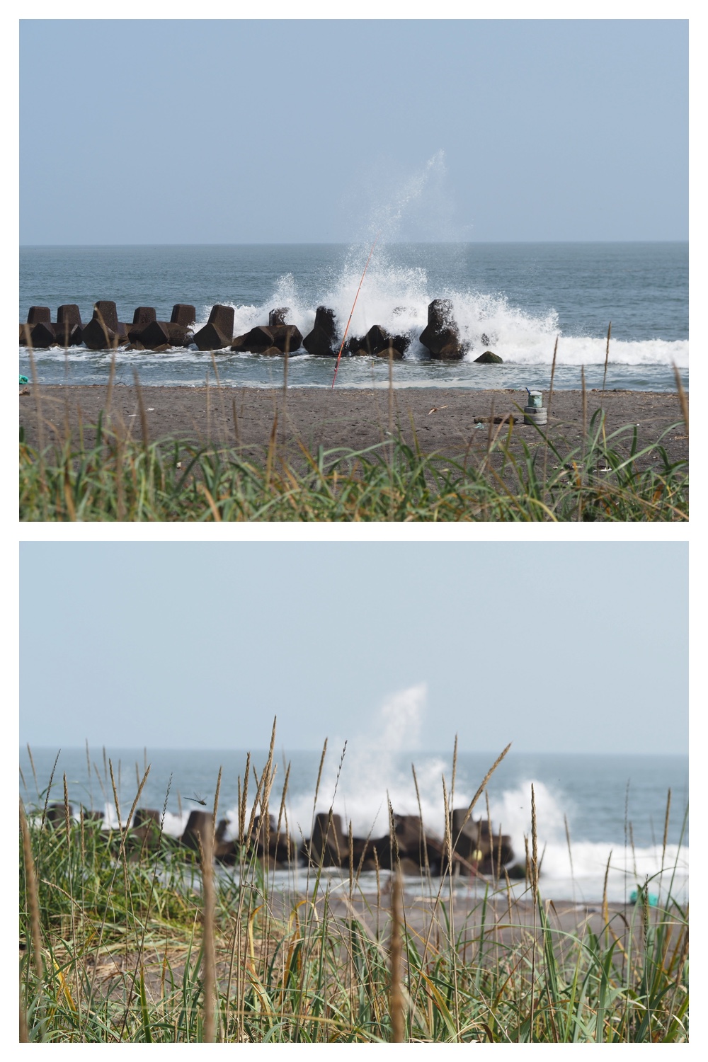 260905_Shizenshi_28