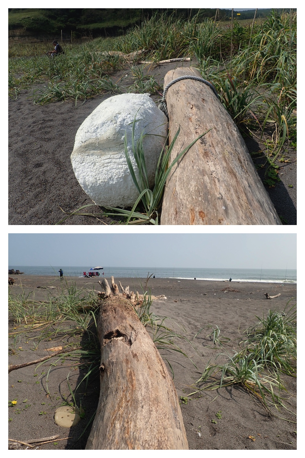 260905_Shizenshi_31