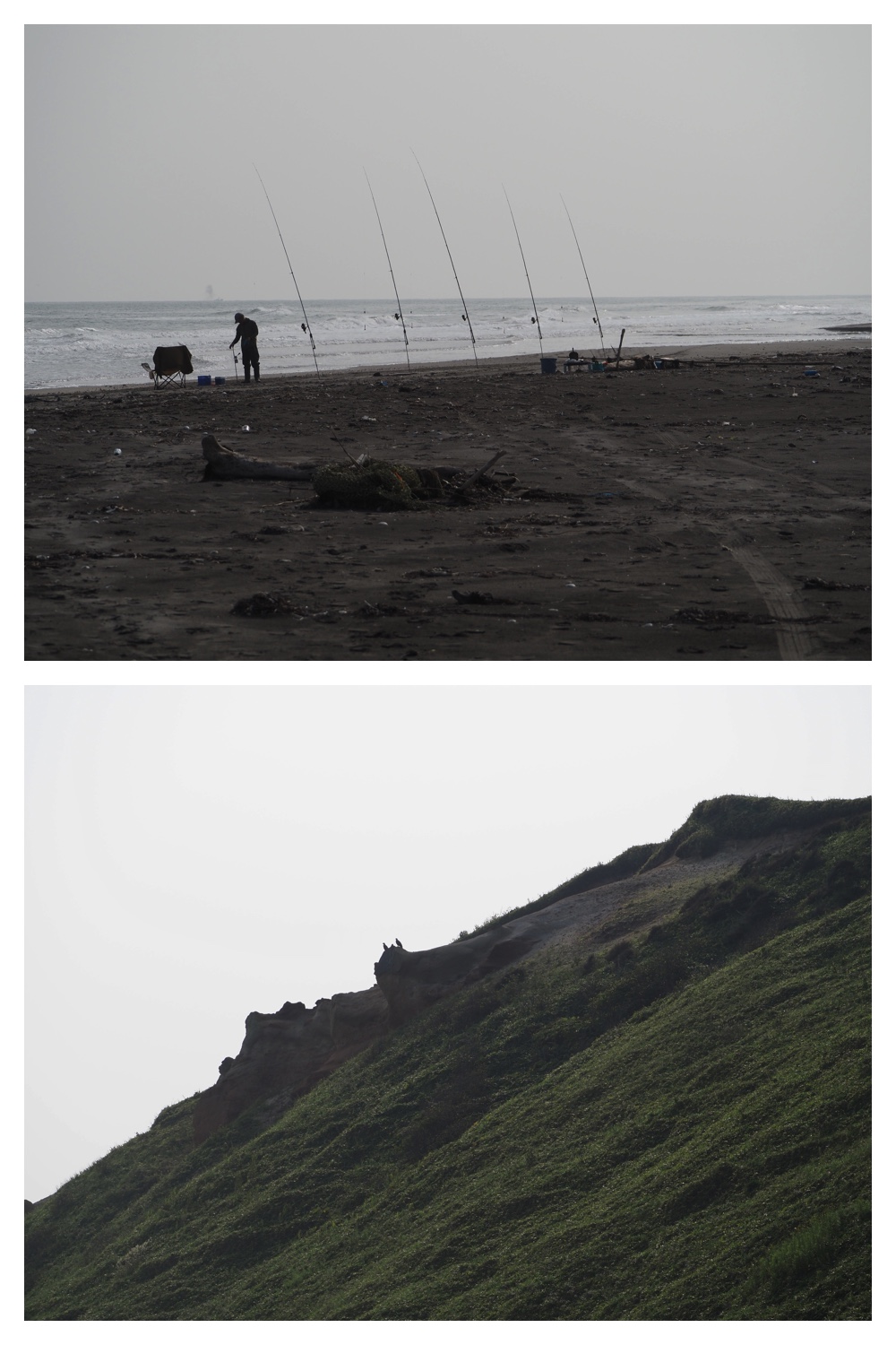 260905_Shizenshi_40