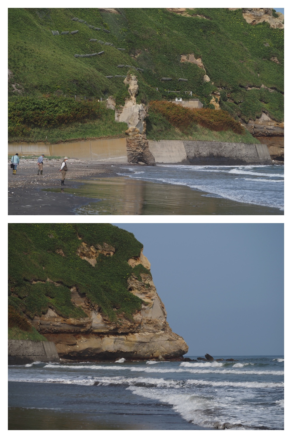 260905_Shizenshi_42