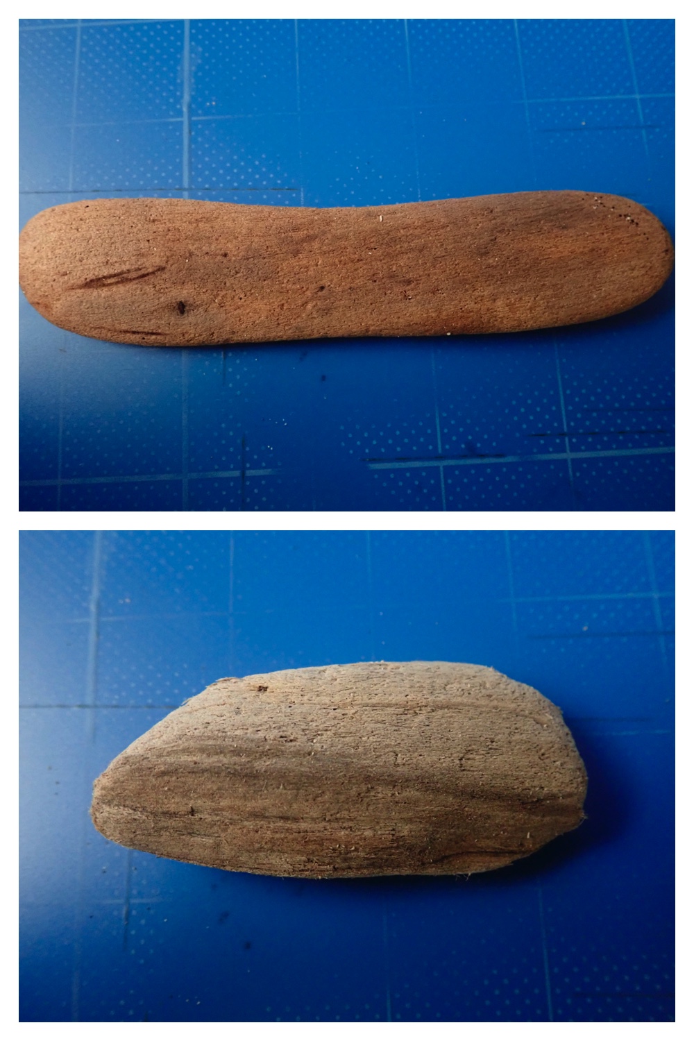 260905_Shizenshi_woodtips