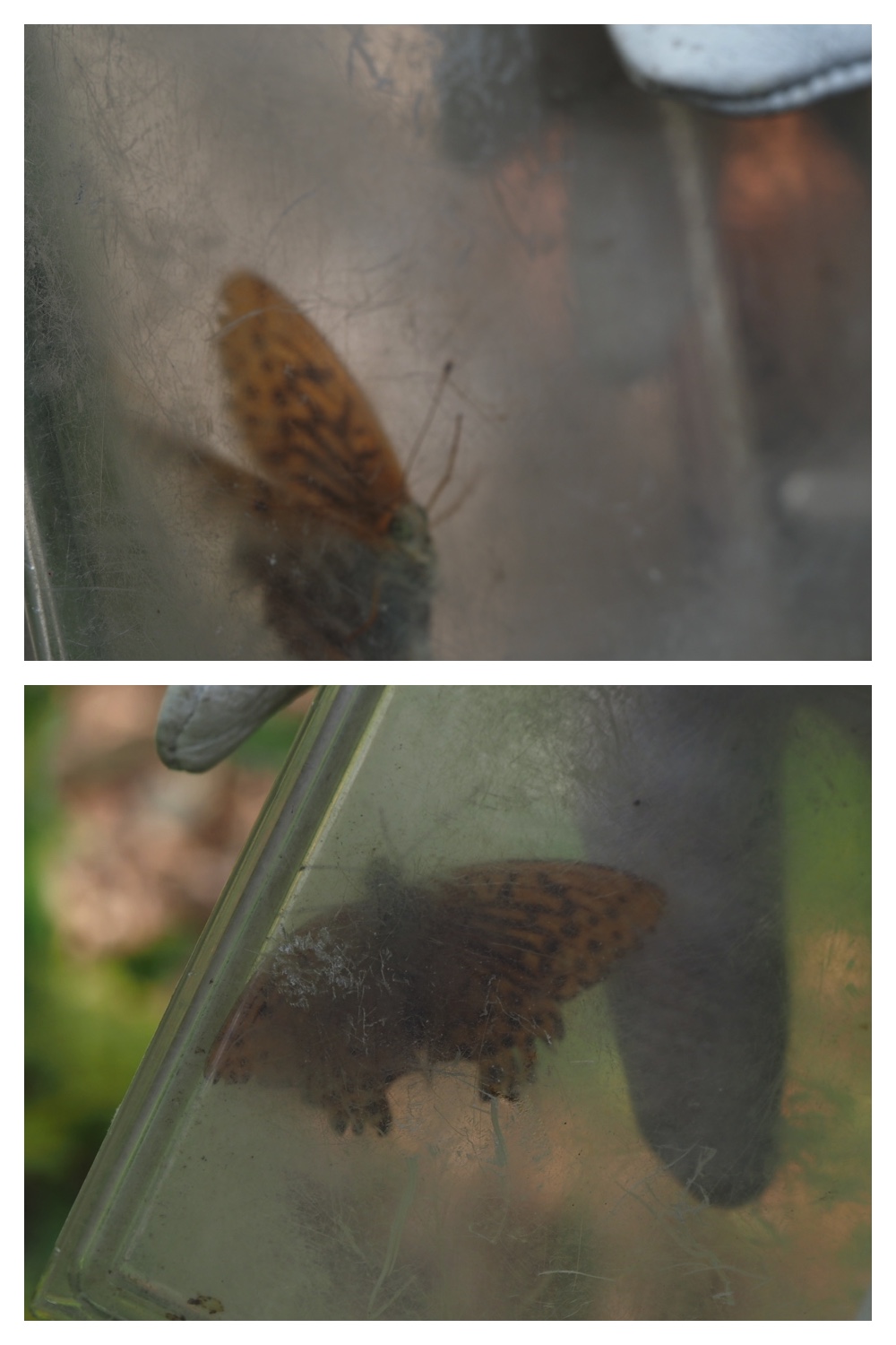 260906_Chou_5