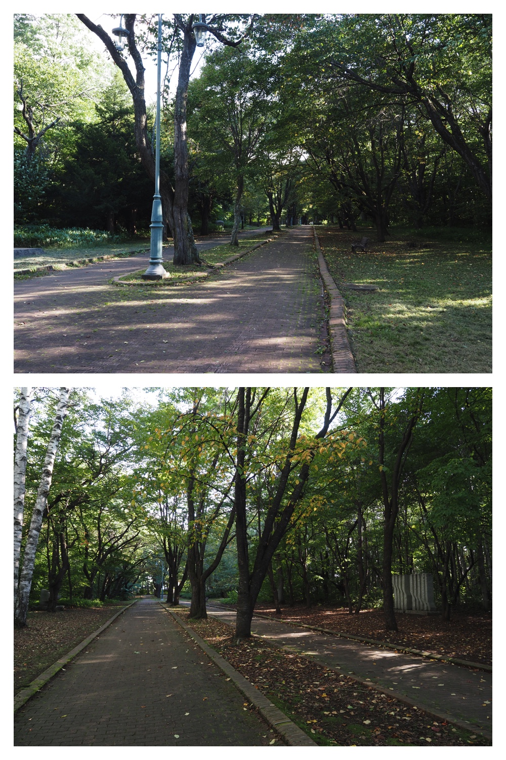 260909_Yasouen_11