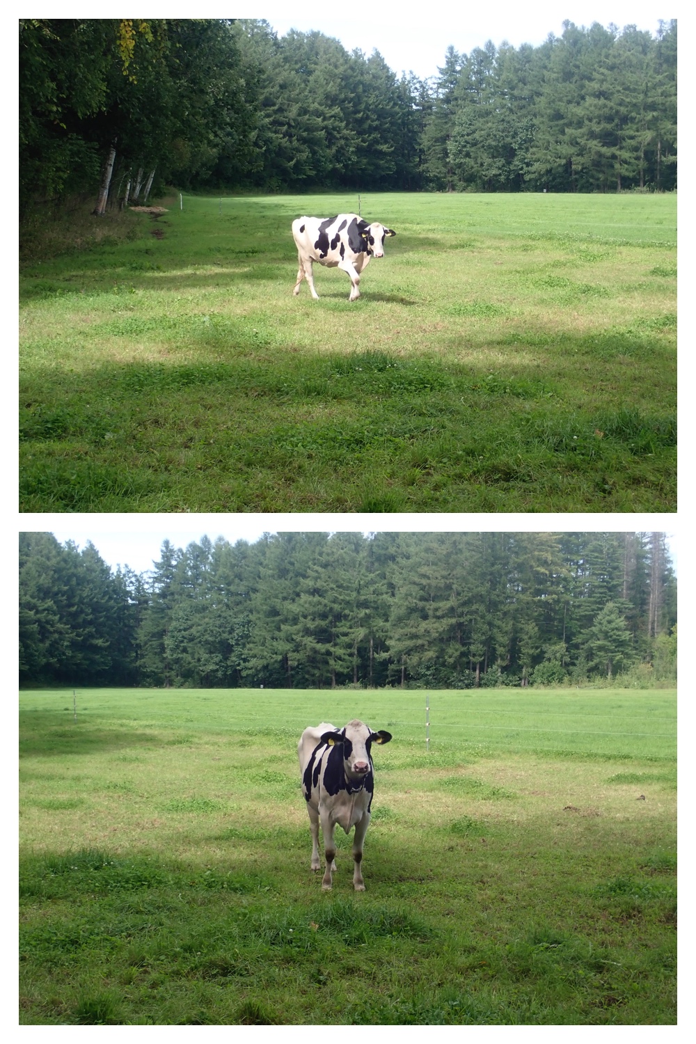 260910_Mini-volley_5