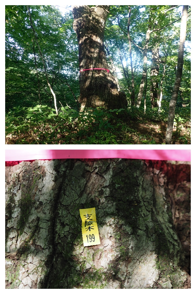 260911_Kunimiyama_19