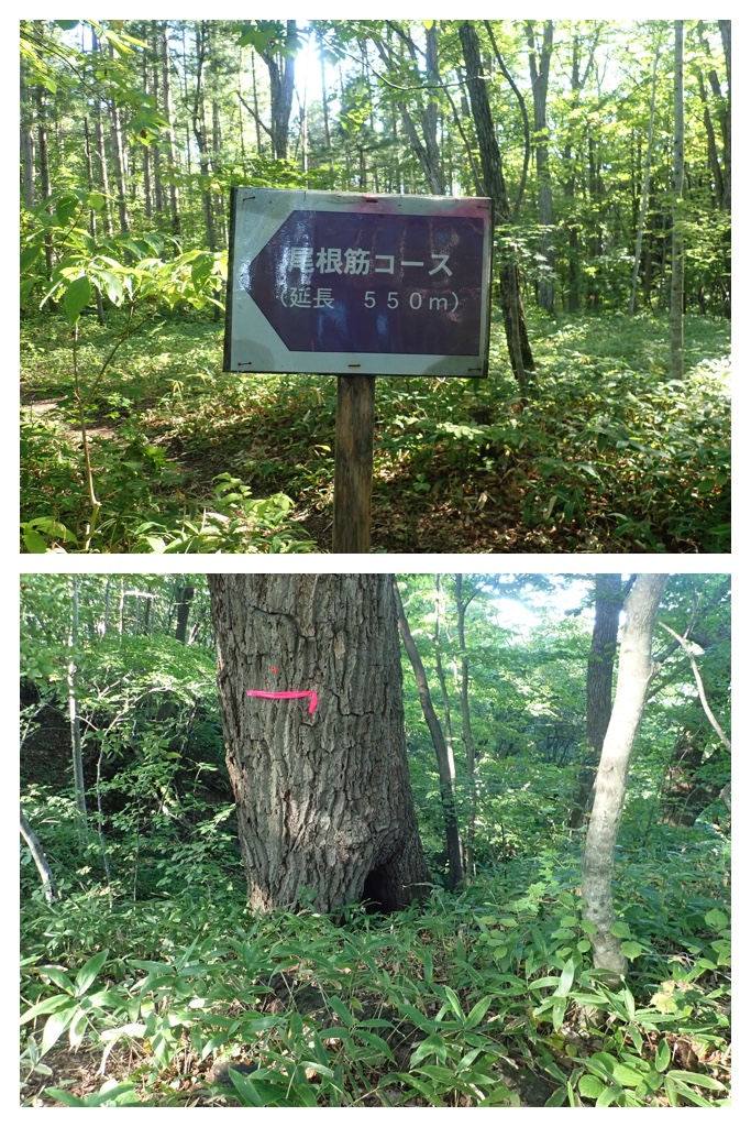 260911_Kunimiyama_20