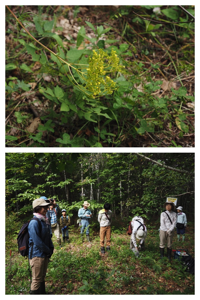 260913_Satoyama_10