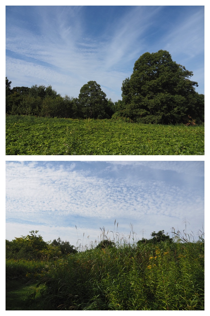 260913_Satoyama_5