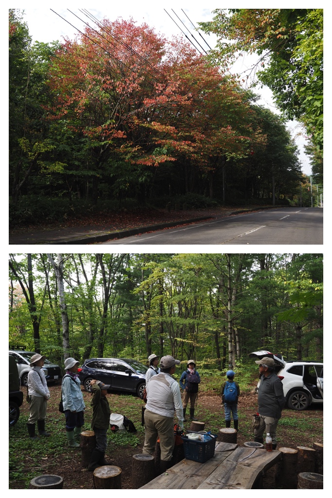 260913_Satoyama_8