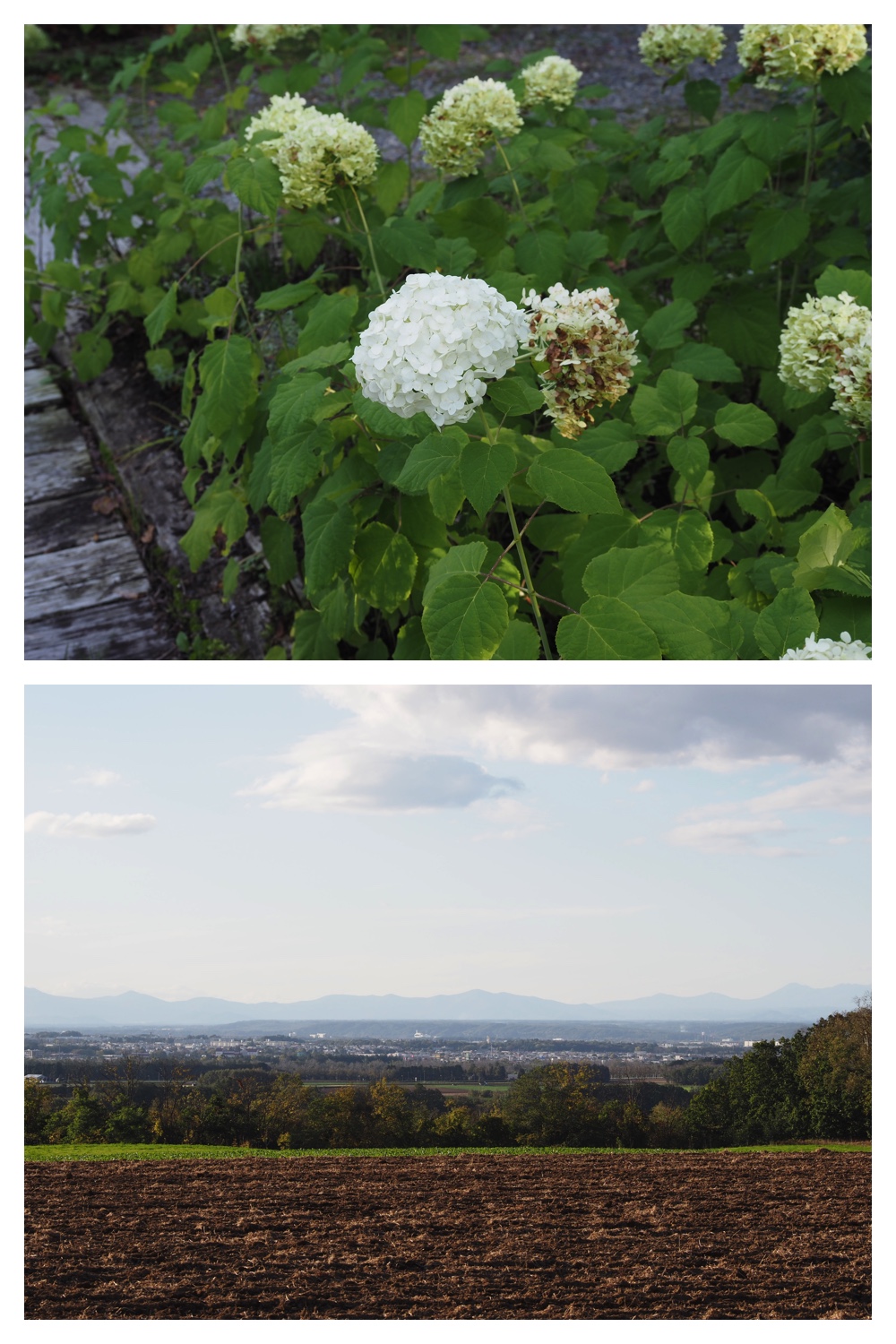 260930_Tokachi-hills_27