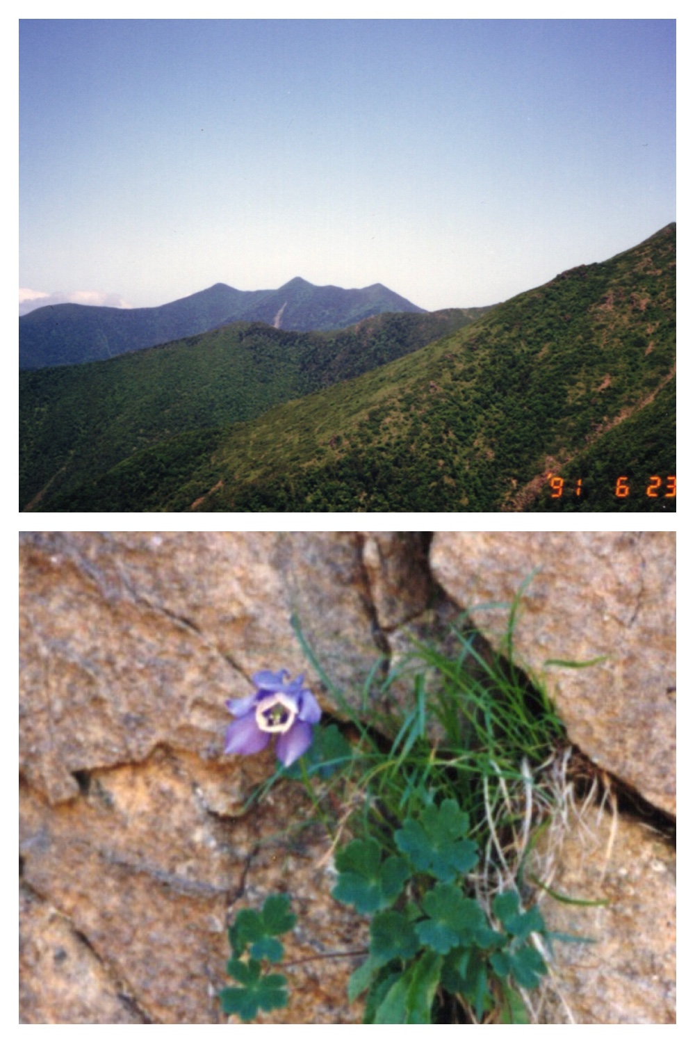 Apoi-view-6