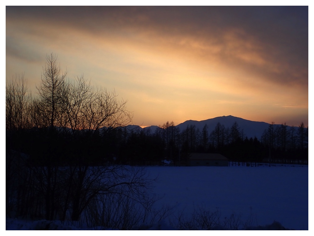 Hidaka_200213-1
