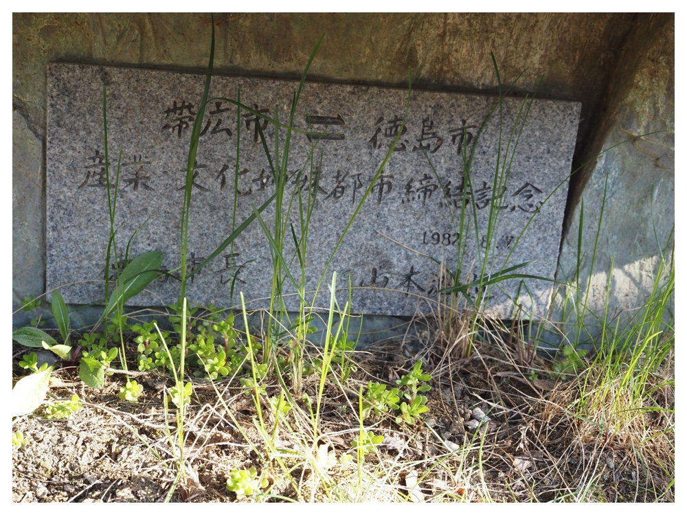 260430_Green-table