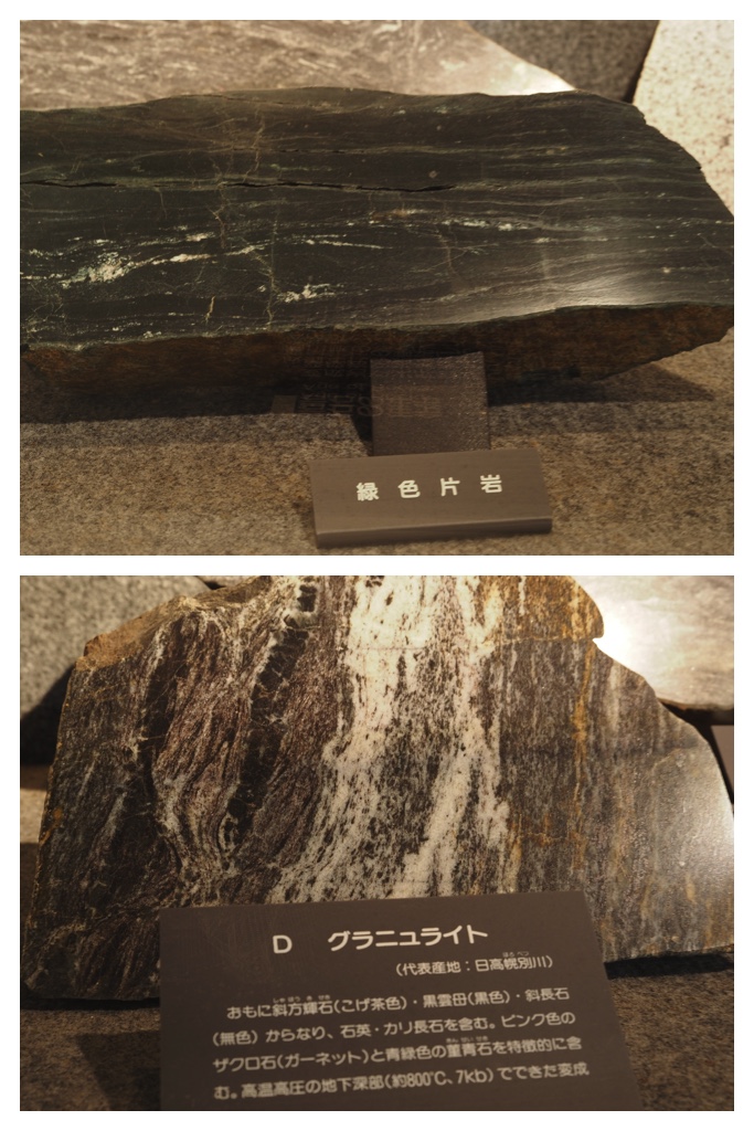 260523_Shizennshi-trip_18