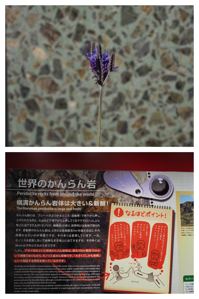 260523_Shizennshi-trip_33