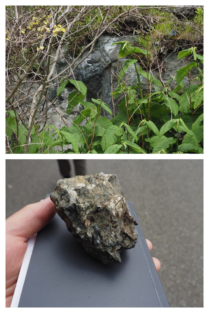 260524_Shizennshi-trip_13