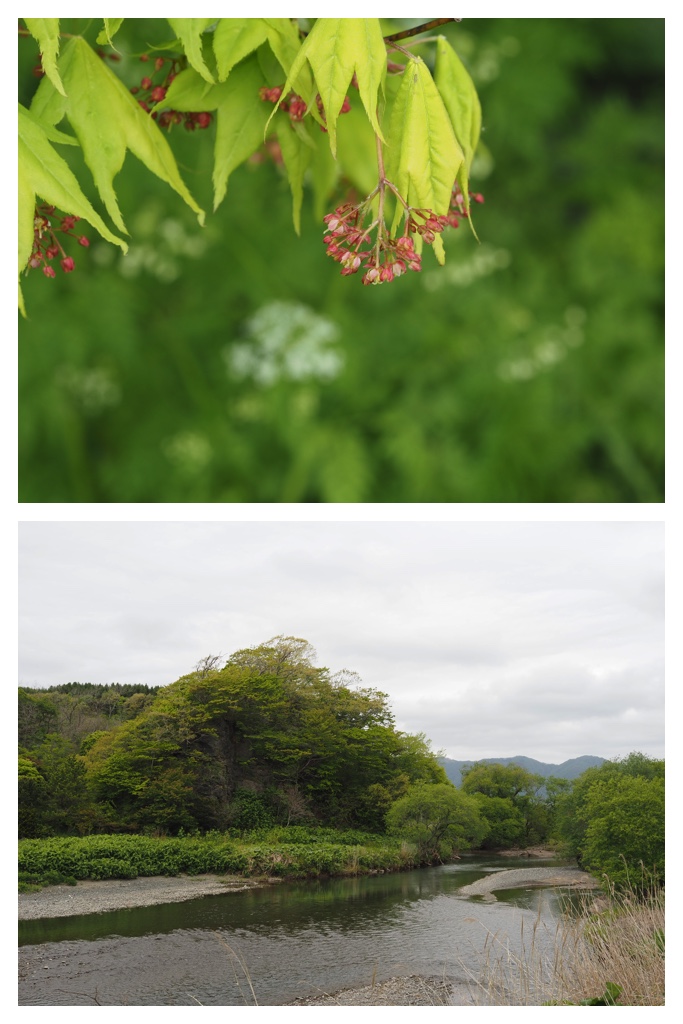 260524_Shizennshi-trip_17