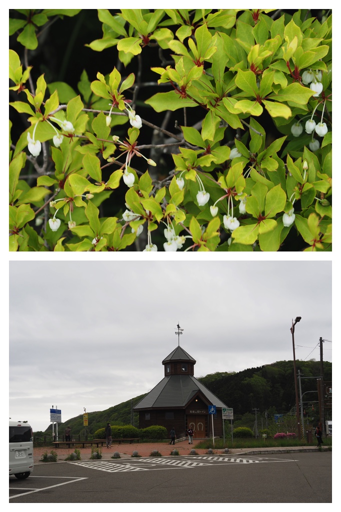 260524_Shizennshi-trip_24