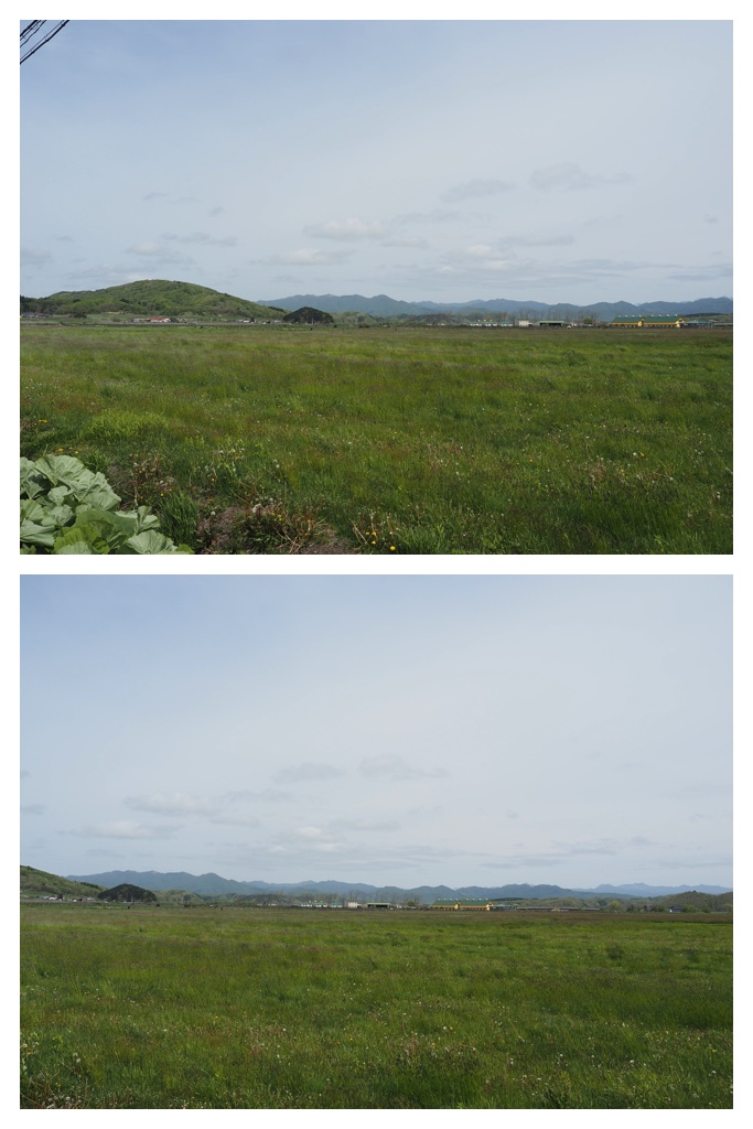 260524_Shizennshi-trip_4