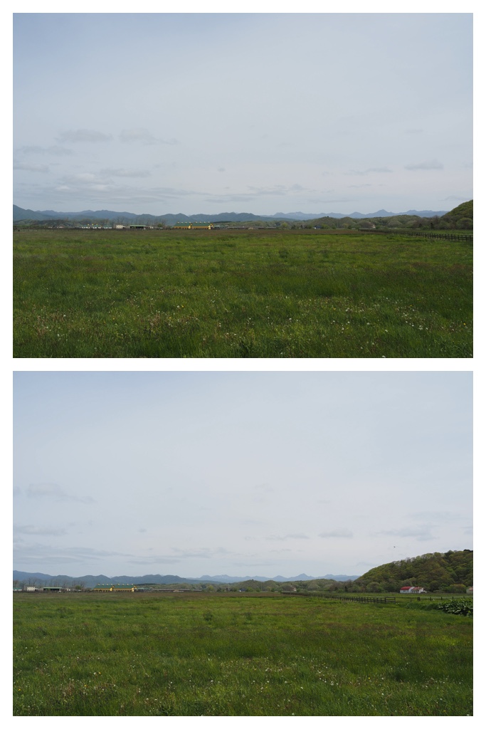 260524_Shizennshi-trip_5