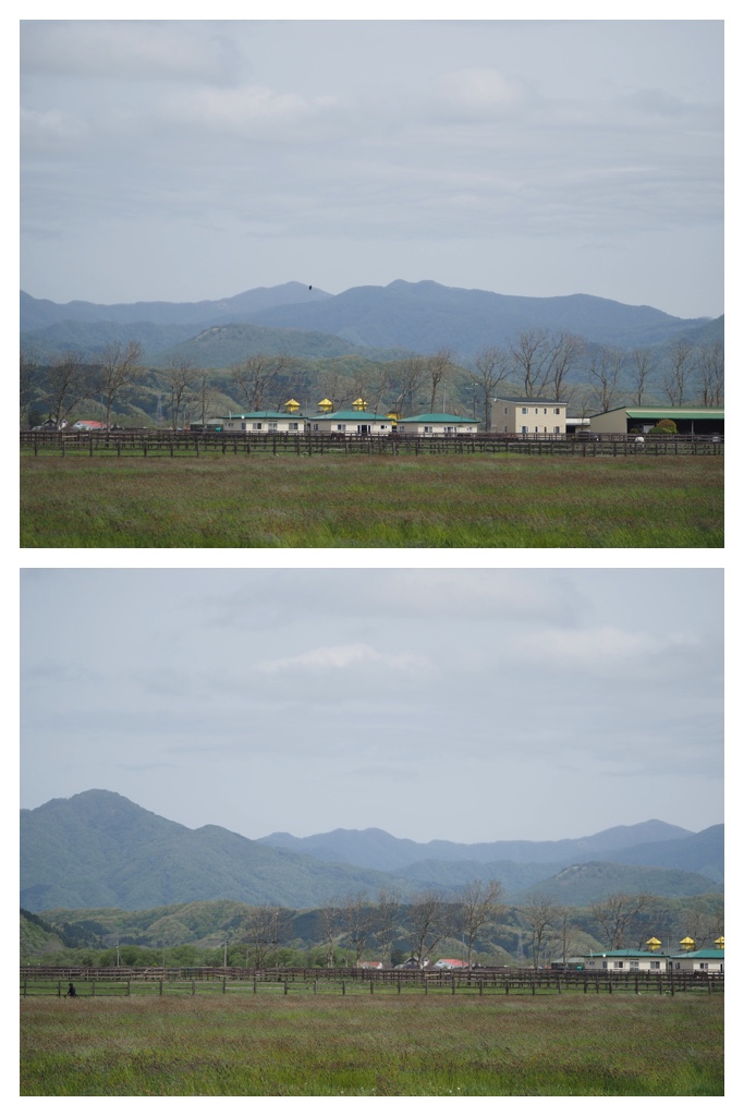 260524_Shizennshi-trip_9