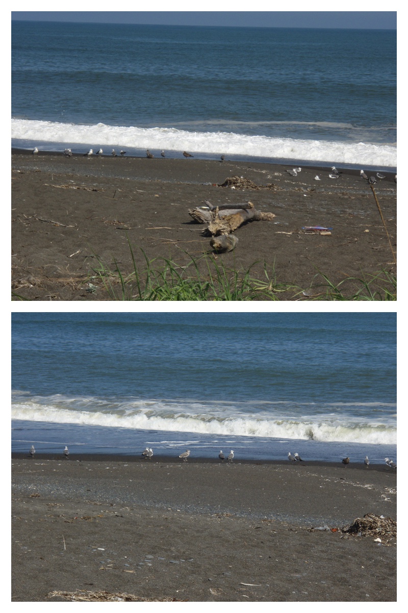 2007_0825_Watanabe_24