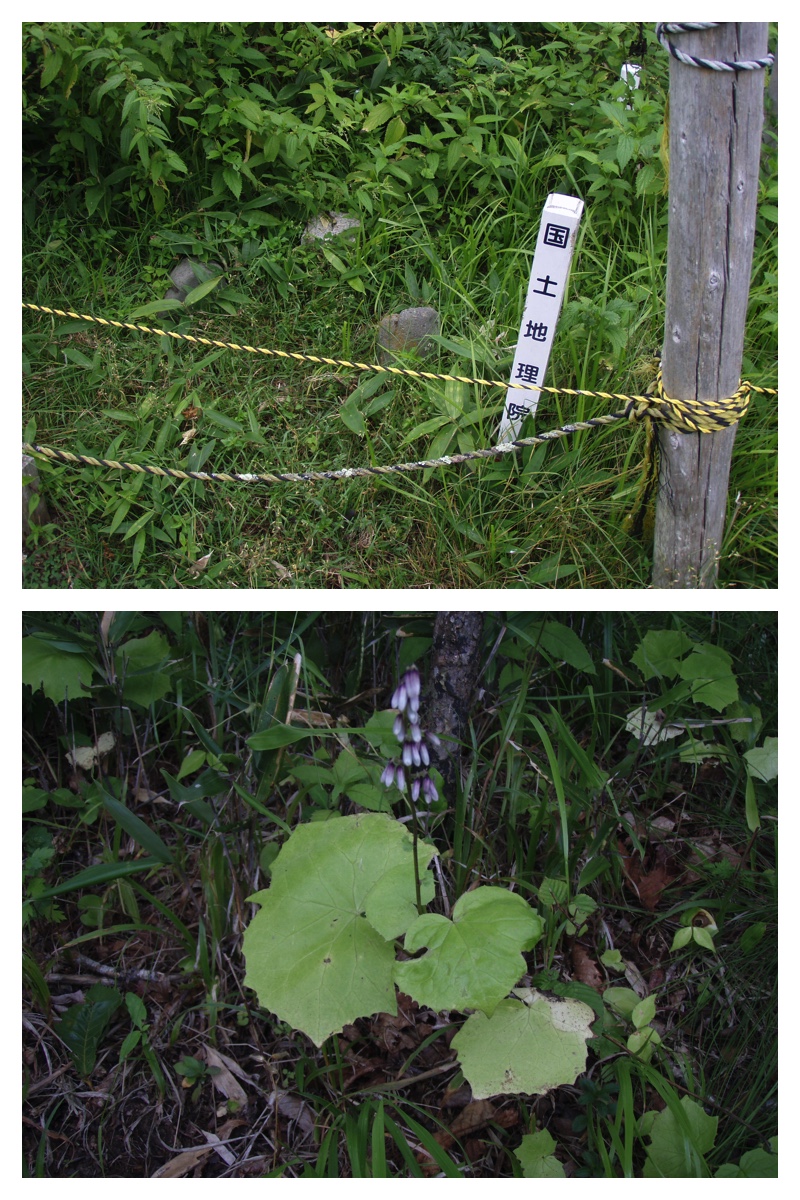 2007_0825_Watanabe_7
