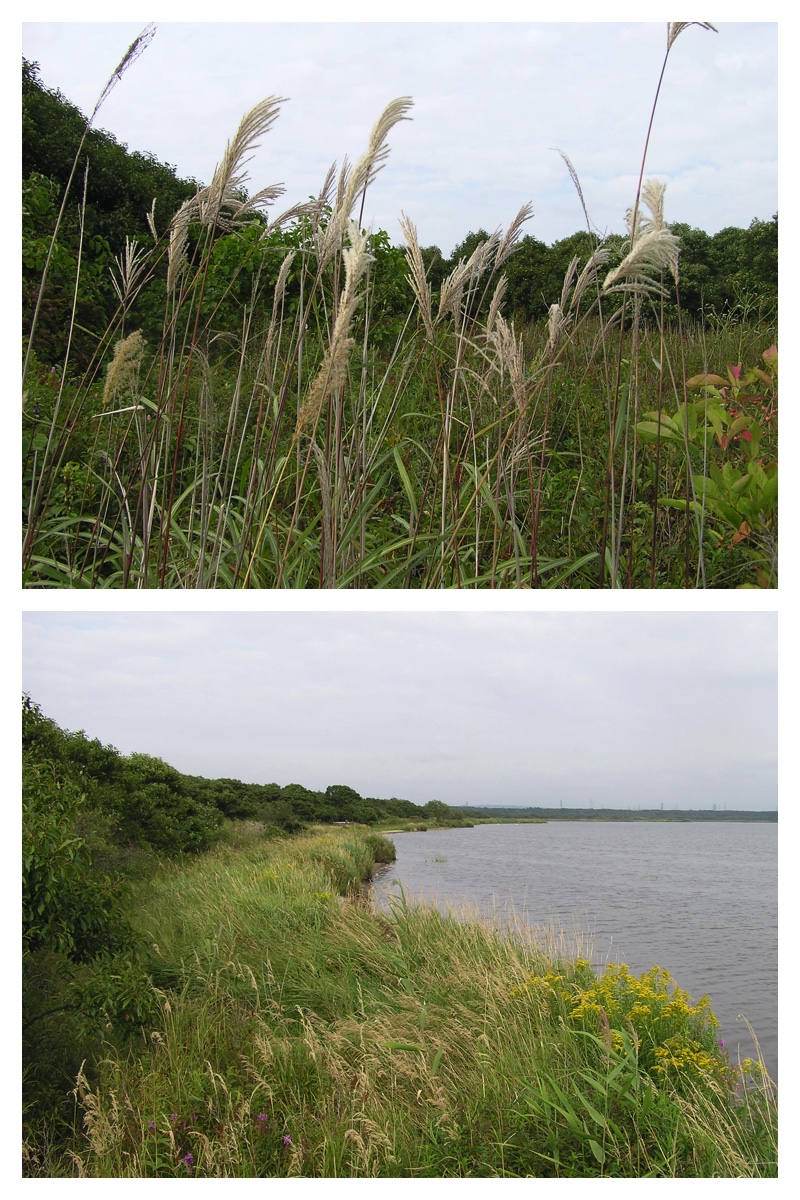 2007_0903_Tomakomai_10