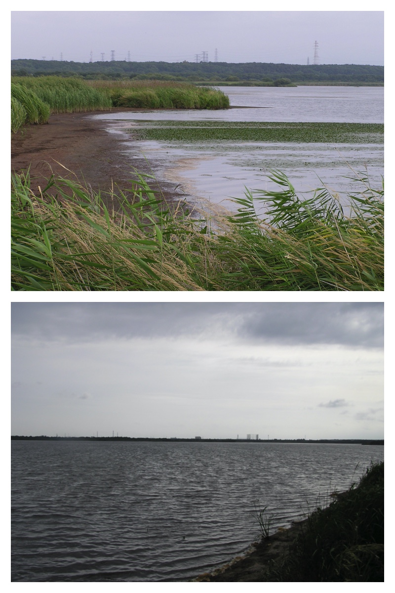2007_0903_Tomakomai_7