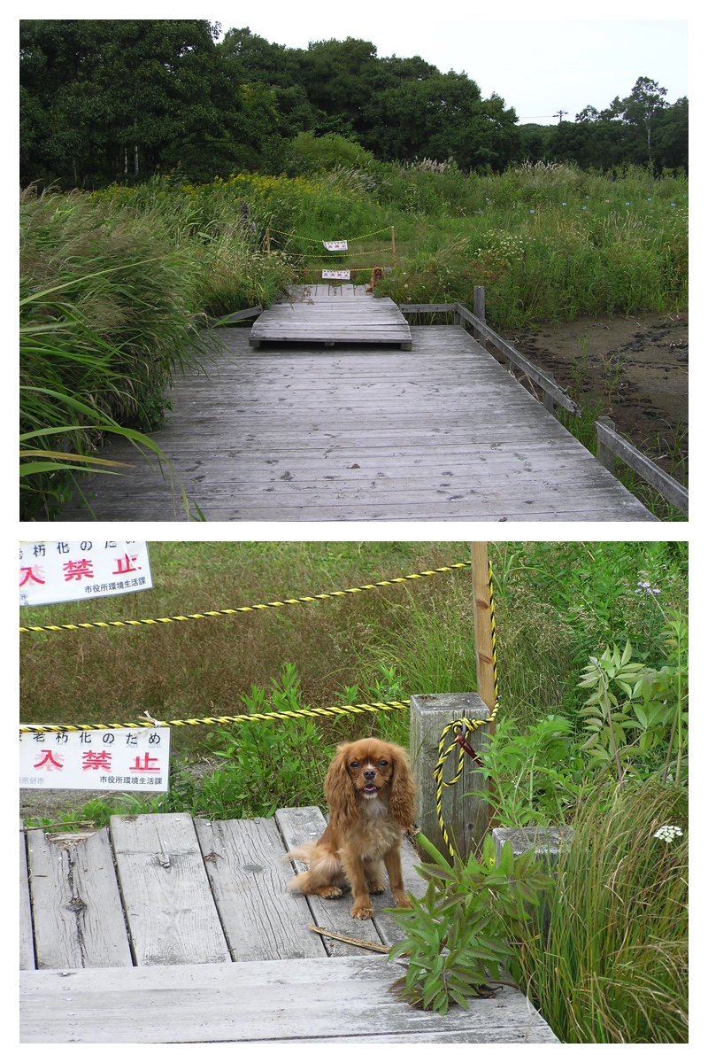 2007_0903_Tomakomai_8