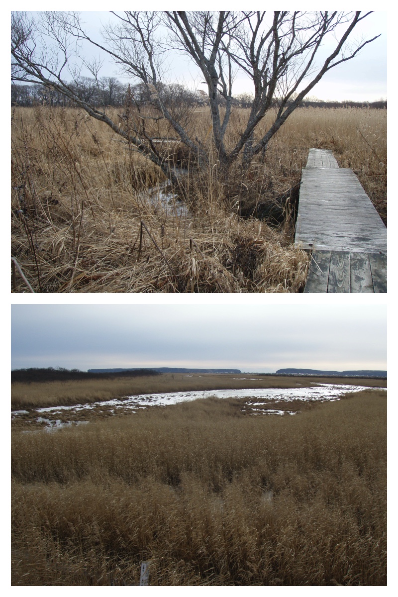 2007_1126_Kiritappu_7